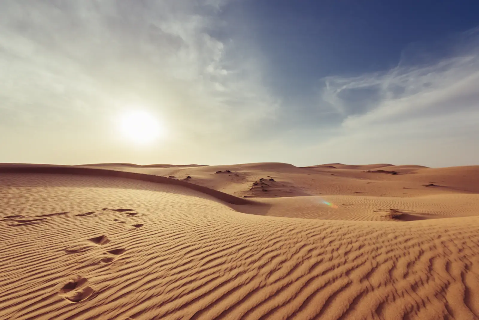 Arabian desert dunes at daybreak